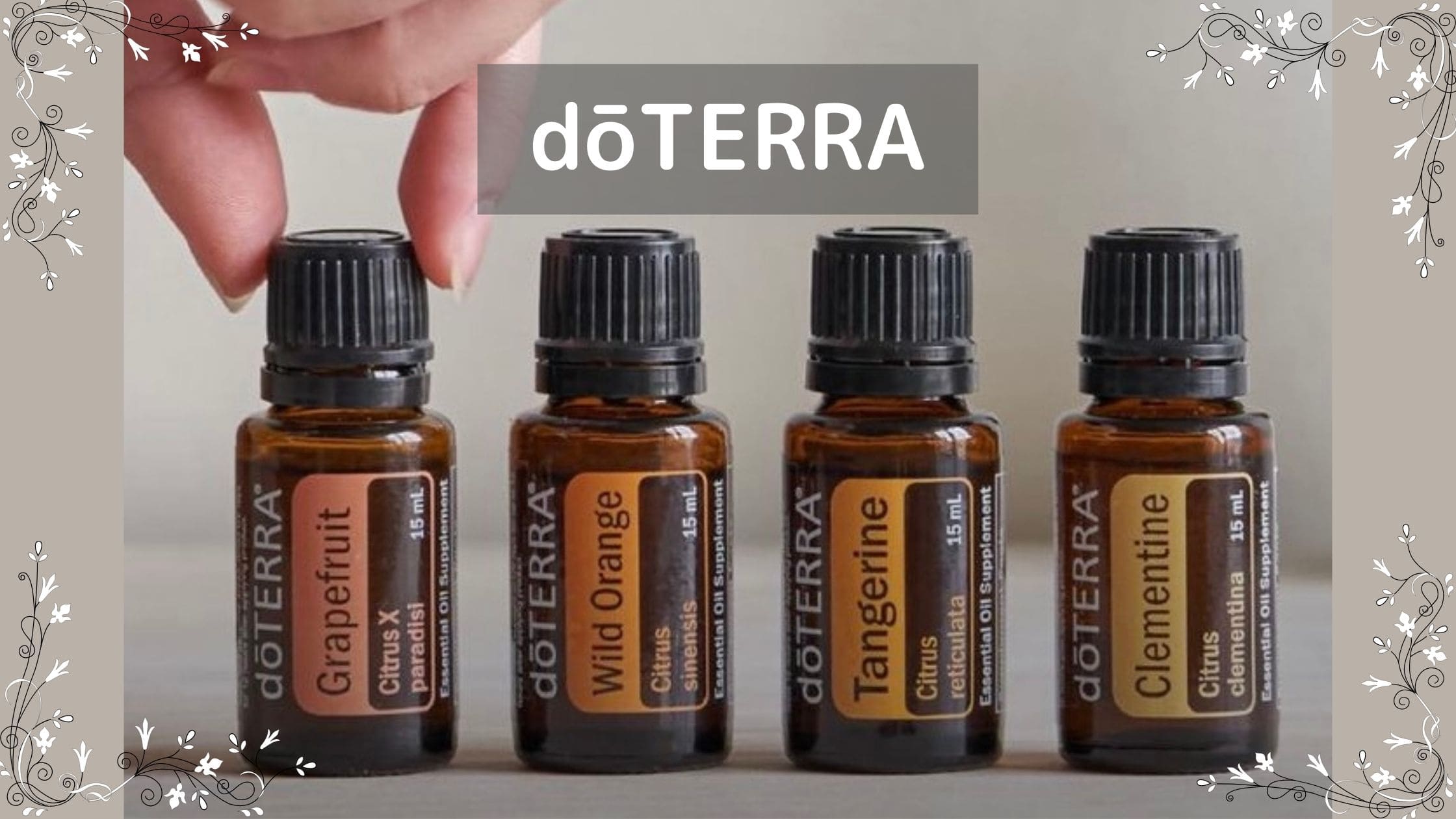 ドテラ doTERRA フォーギブ 5ml 期27年11月 - エッセンシャルオイル